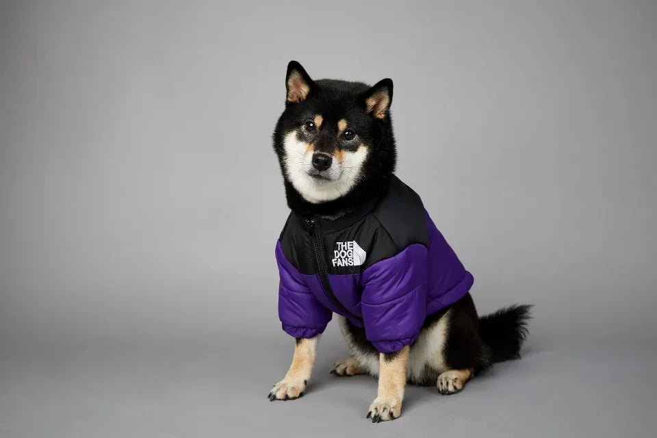 This "The Dog Fans" jacket blends luxury and elegance for your four - legged friend. Made from premium materials, it delivers outstanding comfort while elevating your dog's style on every walk. - Luxempirez