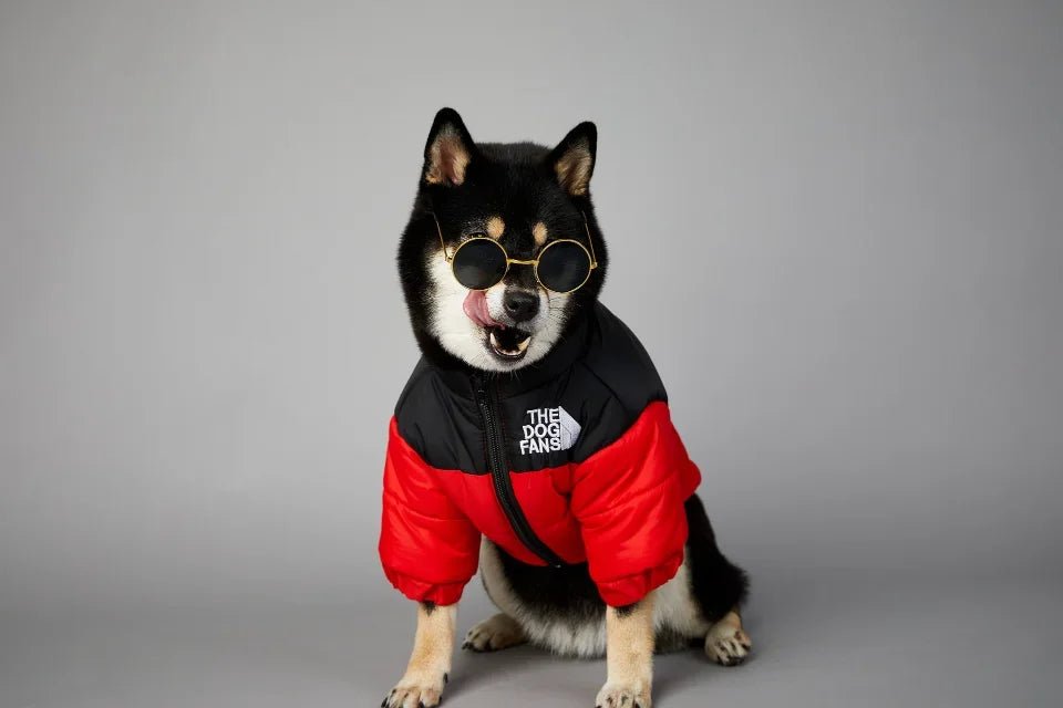 This "The Dog Fans" jacket blends luxury and elegance for your four - legged friend. Made from premium materials, it delivers outstanding comfort while elevating your dog's style on every walk. - Luxempirez