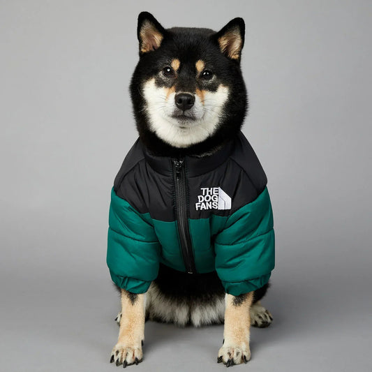 This "The Dog Fans" jacket blends luxury and elegance for your four - legged friend. Made from premium materials, it delivers outstanding comfort while elevating your dog's style on every walk. - Luxempirez