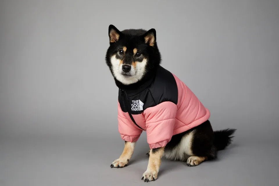 This "The Dog Fans" jacket blends luxury and elegance for your four - legged friend. Made from premium materials, it delivers outstanding comfort while elevating your dog's style on every walk. - Luxempirez