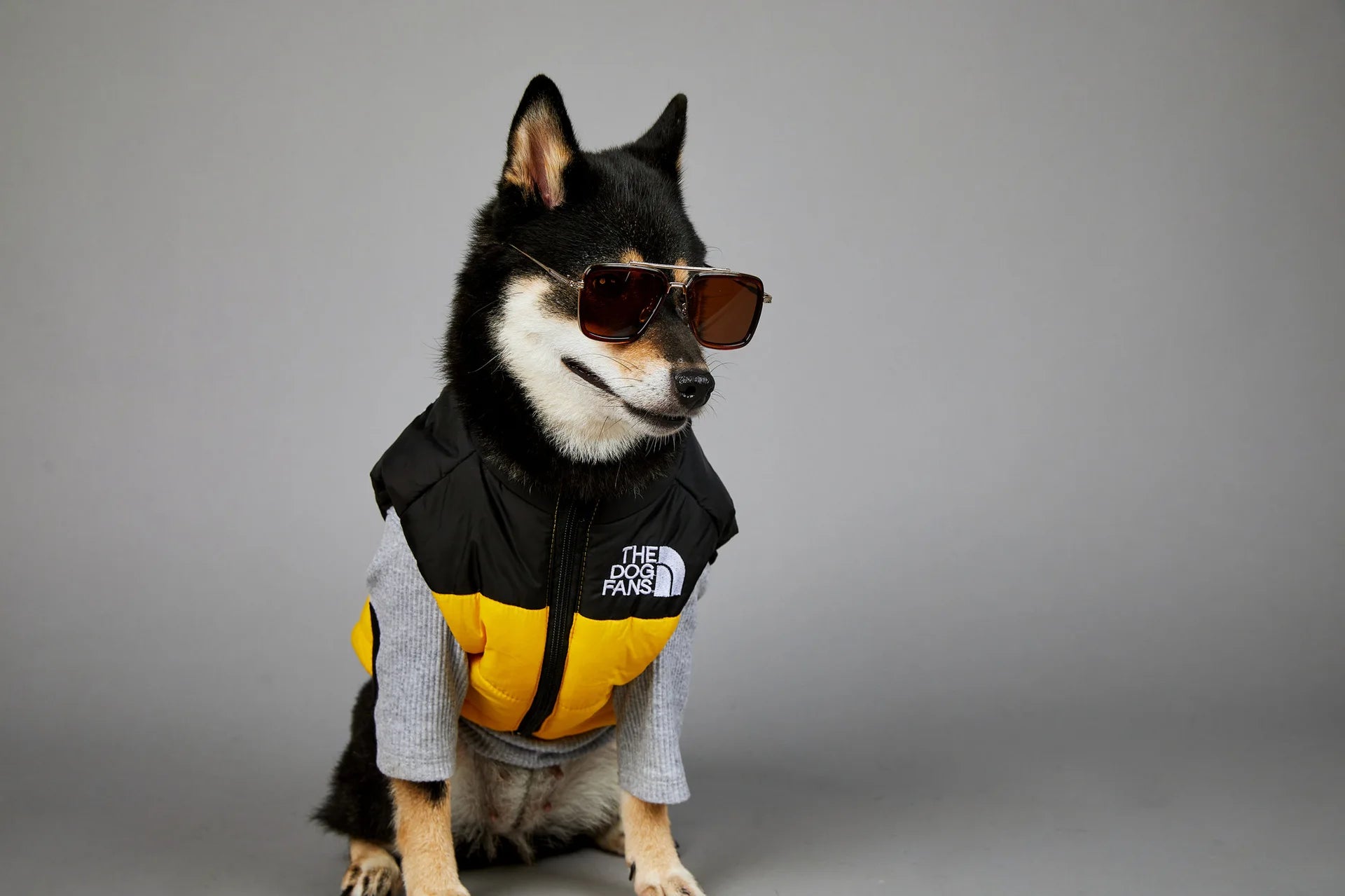 Trendy Dog Thermal Assault Suit Cute Pet Accessories Dog Face Toy Accessory Birthday Gift for Canines Home & Garden Pet Supplies - Luxempirez