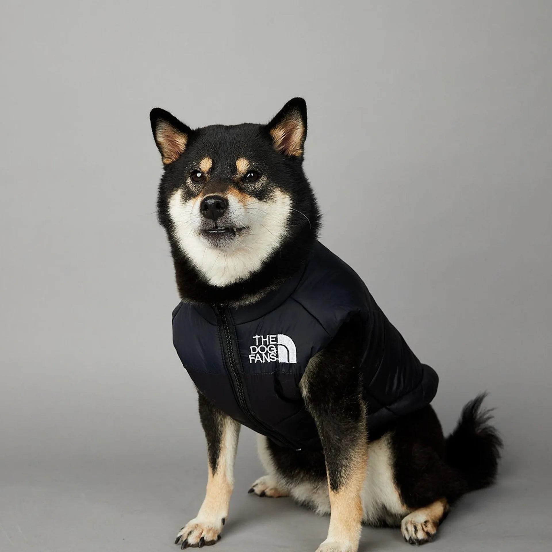 Trendy Dog Thermal Assault Suit Cute Pet Accessories Dog Face Toy Accessory Birthday Gift for Canines Home & Garden Pet Supplies - Luxempirez