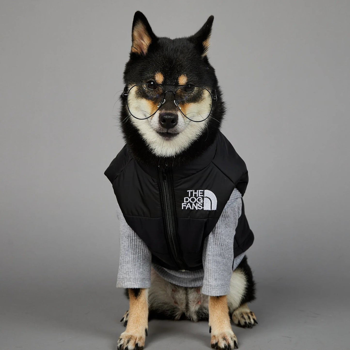 Trendy Dog Thermal Assault Suit Cute Pet Accessories Dog Face Toy Accessory Birthday Gift for Canines Home & Garden Pet Supplies - Luxempirez