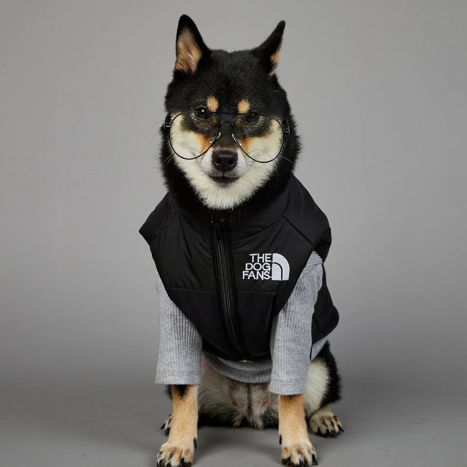 Trendy Dog Thermal Assault Suit Cute Pet Accessories Dog Face Toy Accessory Birthday Gift for Canines Home & Garden Pet Supplies - Luxempirez