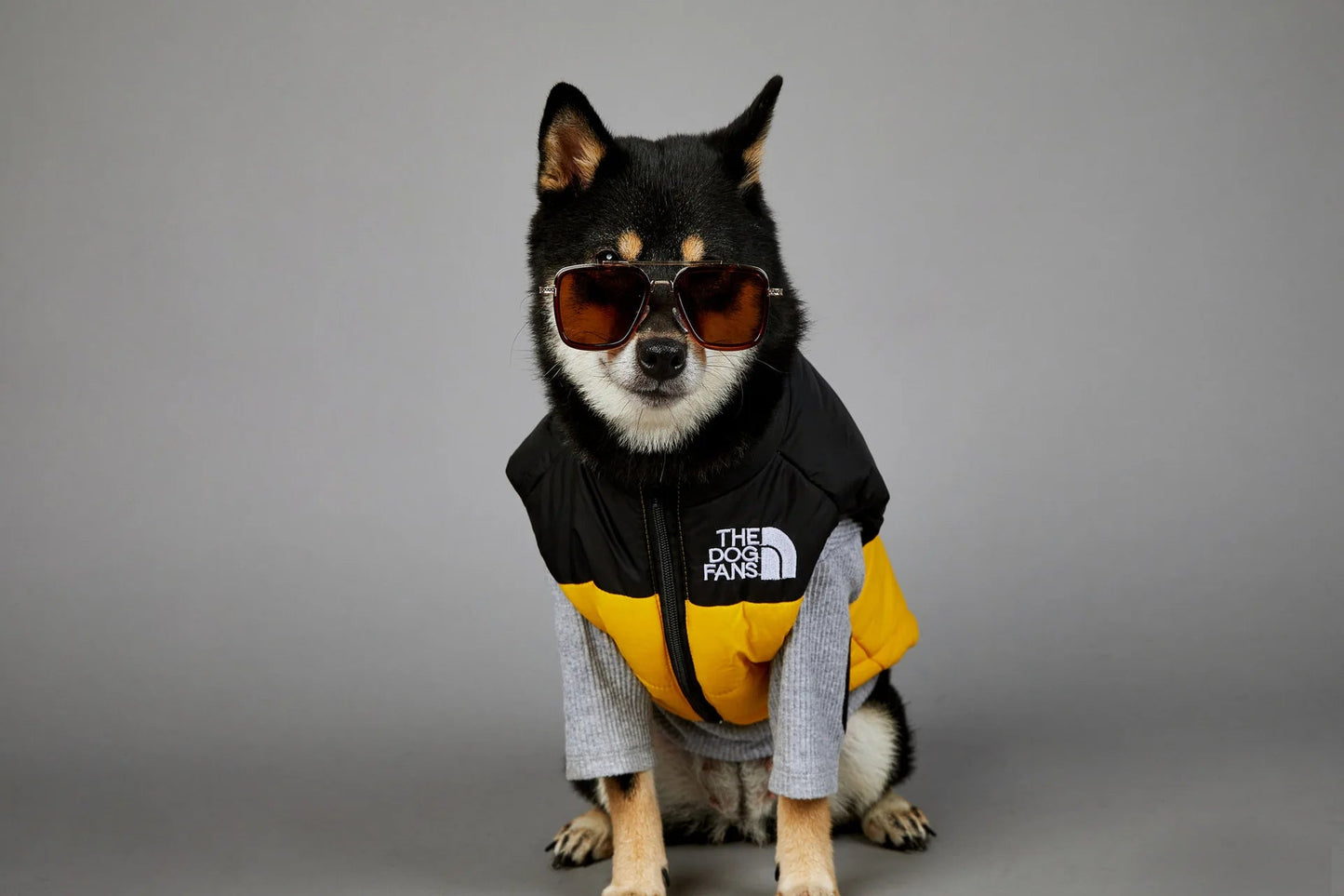 Trendy Dog Thermal Assault Suit Cute Pet Accessories Dog Face Toy Accessory Birthday Gift for Canines Home & Garden Pet Supplies - Luxempirez