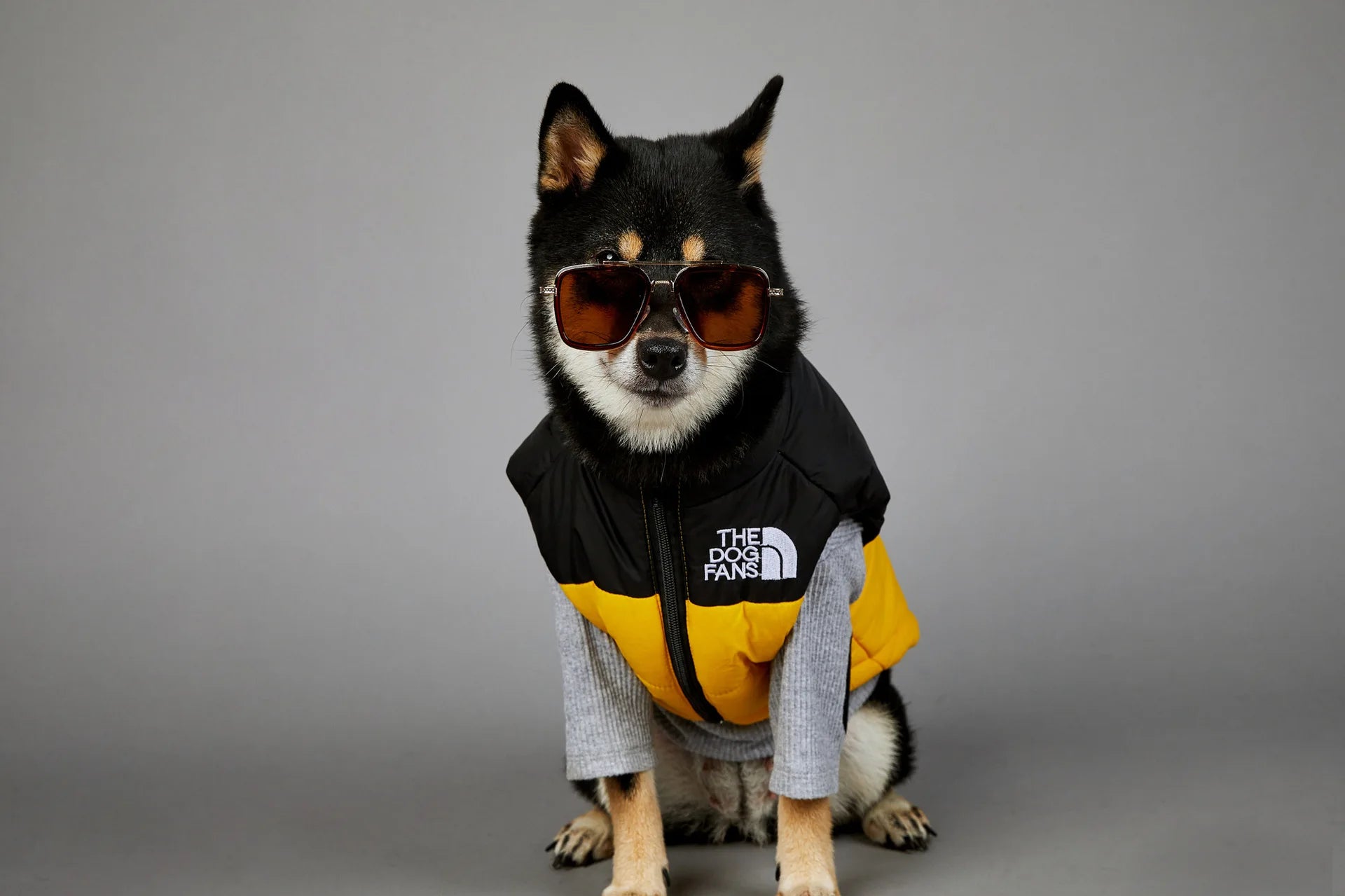 Trendy Dog Thermal Assault Suit Cute Pet Accessories Dog Face Toy Accessory Birthday Gift for Canines Home & Garden Pet Supplies - Luxempirez