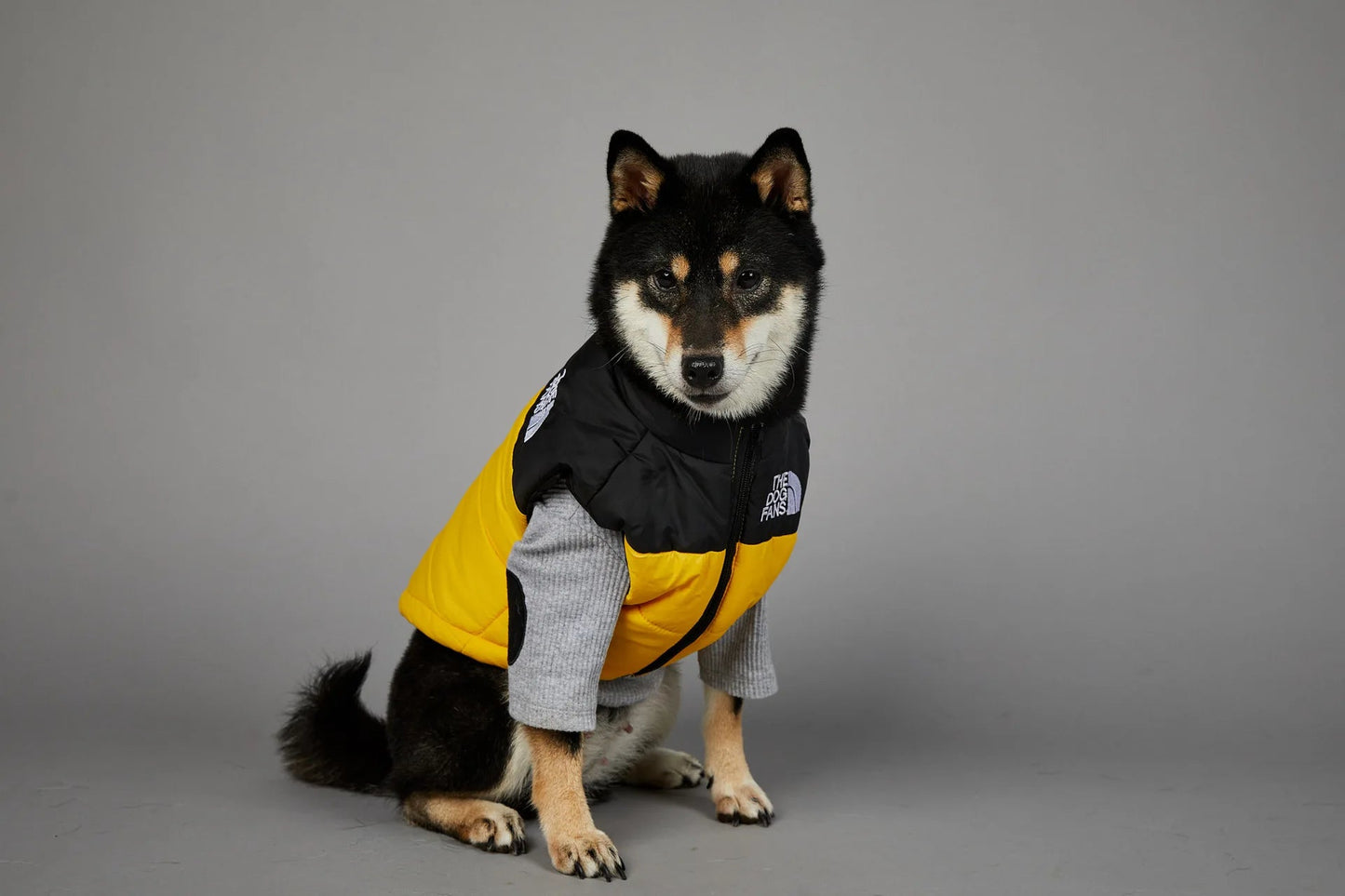 Trendy Dog Thermal Assault Suit Cute Pet Accessories Dog Face Toy Accessory Birthday Gift for Canines Home & Garden Pet Supplies - Luxempirez