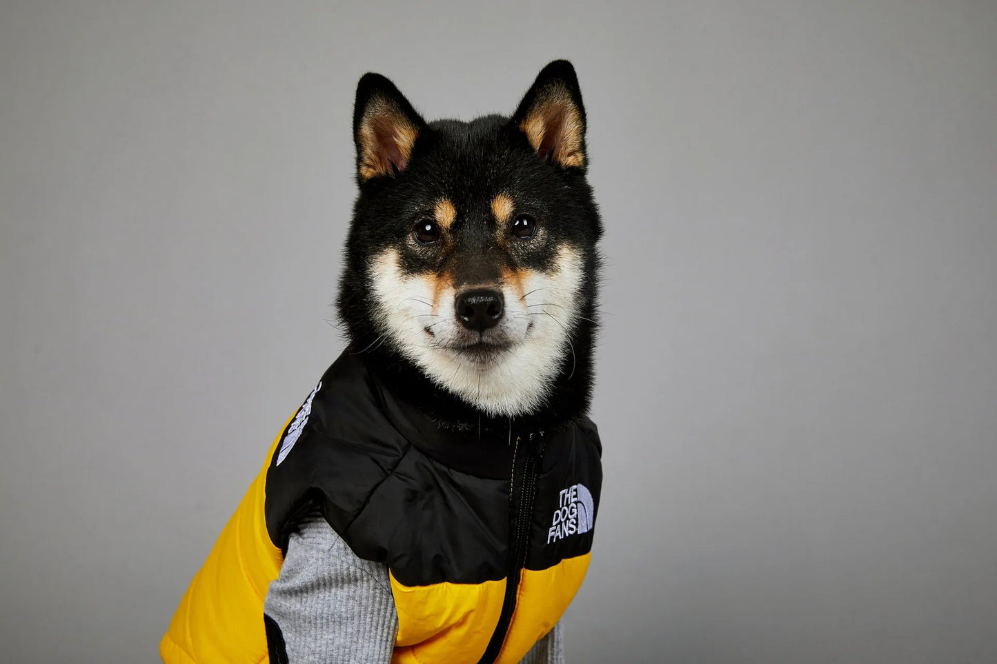 Trendy Dog Thermal Assault Suit Cute Pet Accessories Dog Face Toy Accessory Birthday Gift for Canines Home & Garden Pet Supplies - Luxempirez