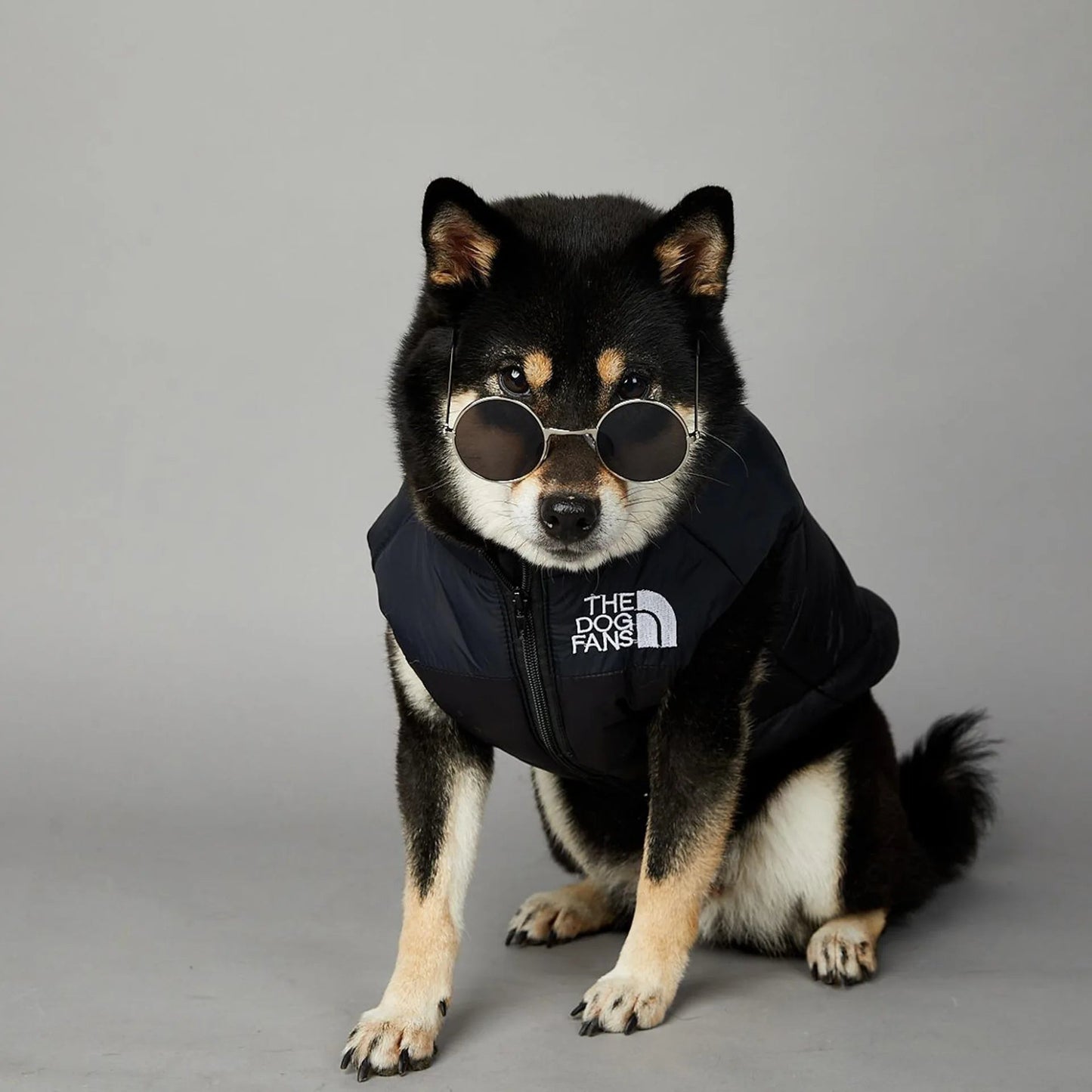 Trendy Dog Thermal Assault Suit Cute Pet Accessories Dog Face Toy Accessory Birthday Gift for Canines Home & Garden Pet Supplies - Luxempirez