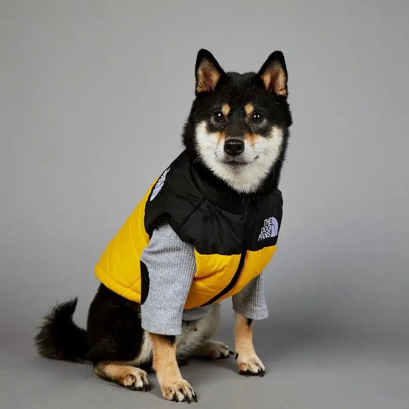 Trendy Dog Thermal Assault Suit Cute Pet Accessories Dog Face Toy Accessory Birthday Gift for Canines Home & Garden Pet Supplies - Luxempirez