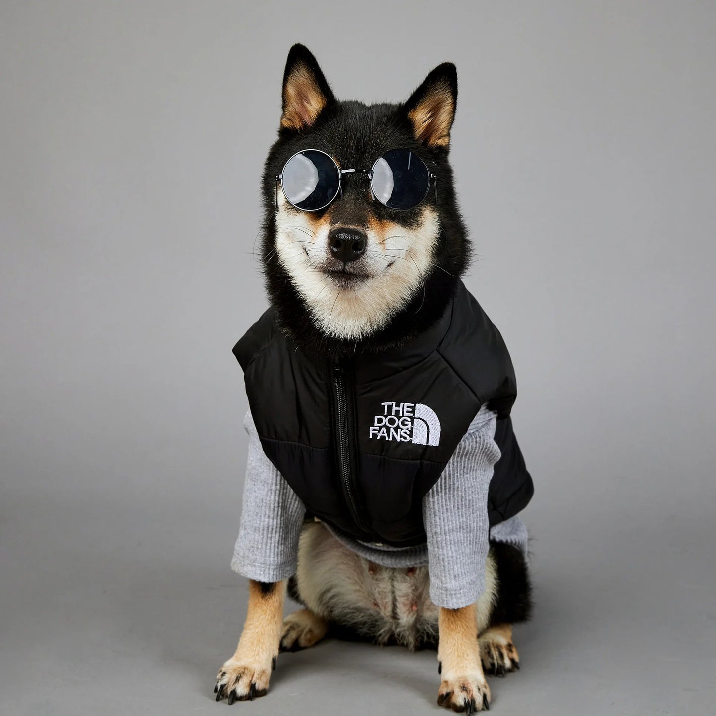 Trendy Dog Thermal Assault Suit Cute Pet Accessories Dog Face Toy Accessory Birthday Gift for Canines Home & Garden Pet Supplies - Luxempirez