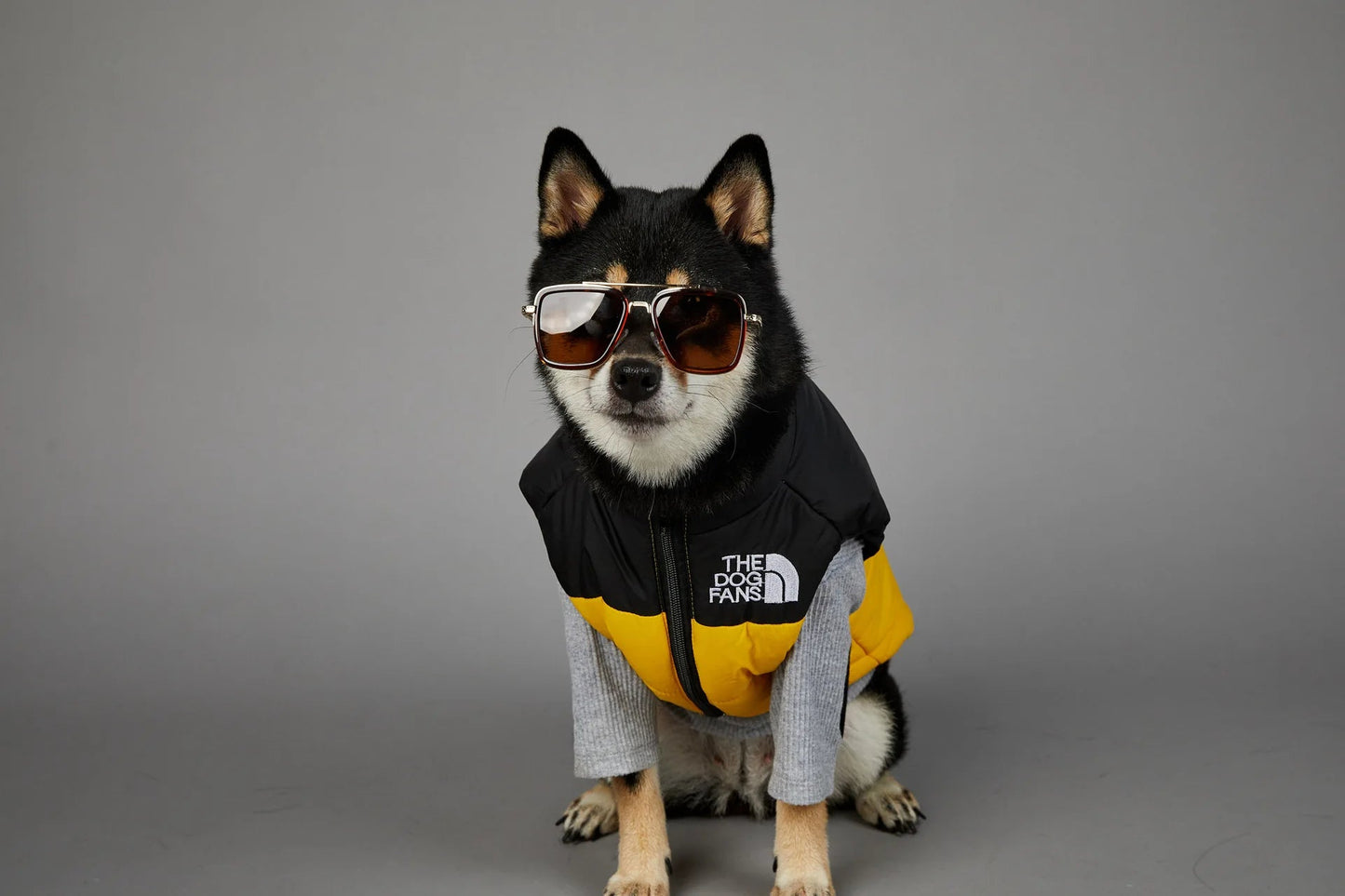 Trendy Dog Thermal Assault Suit Cute Pet Accessories Dog Face Toy Accessory Birthday Gift for Canines Home & Garden Pet Supplies - Luxempirez