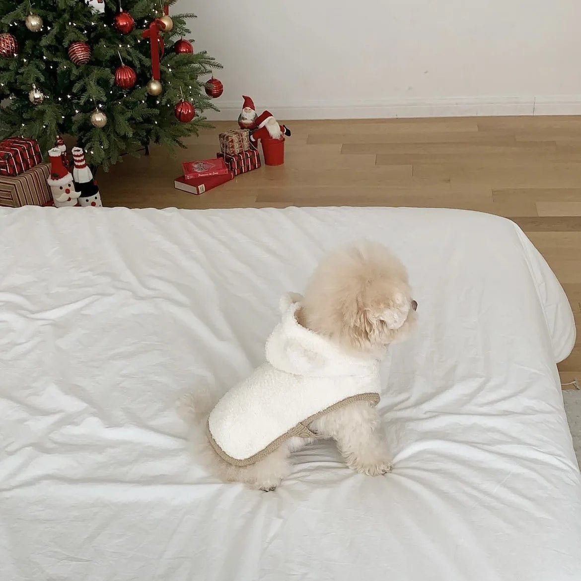 Warm Pet Clothing Cape Pet Hood Cape Small Dog Cat Teddy Autumn and Winter Thickened Puppy Clothes Designer Dog Clothes - Luxempirez