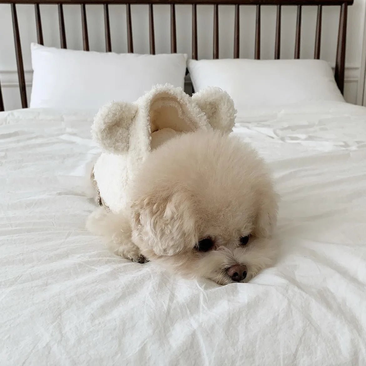 Warm Pet Clothing Cape Pet Hood Cape Small Dog Cat Teddy Autumn and Winter Thickened Puppy Clothes Designer Dog Clothes - Luxempirez