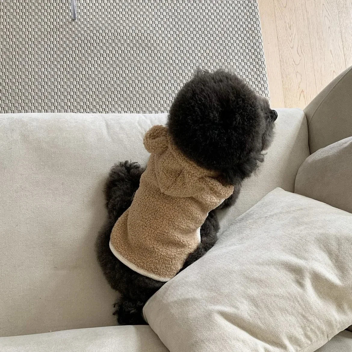 Warm Pet Clothing Cape Pet Hood Cape Small Dog Cat Teddy Autumn and Winter Thickened Puppy Clothes Designer Dog Clothes - Luxempirez