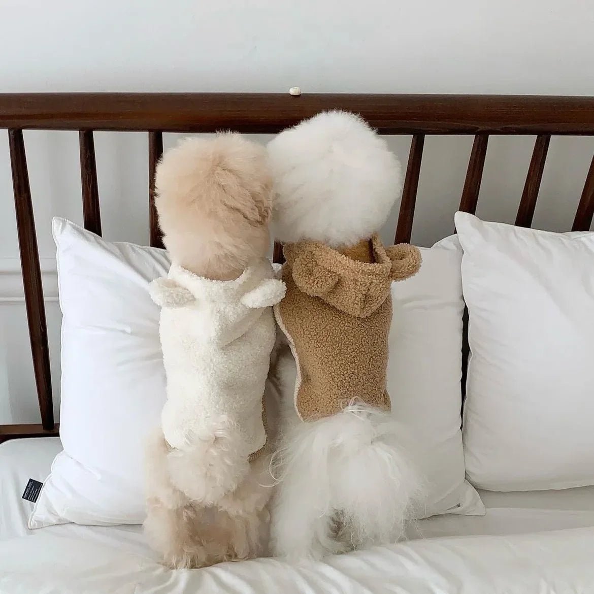 Warm Pet Clothing Cape Pet Hood Cape Small Dog Cat Teddy Autumn and Winter Thickened Puppy Clothes Designer Dog Clothes - Luxempirez