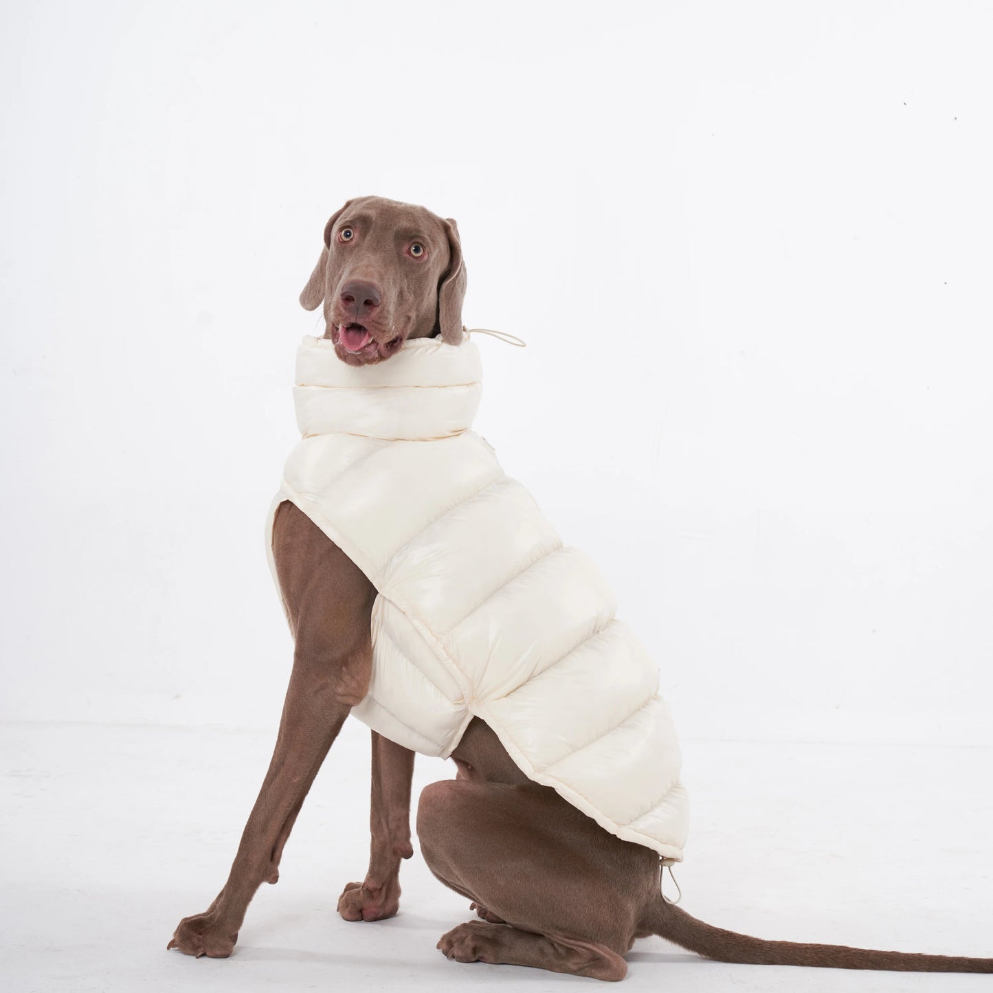 Wrap your dog in refined luxury with this plush, cream - colored vest. Crafted from high - quality, soft - touch fabrics, it offers exceptional warmth, comfort, and an elevated style for sophisticated outings. The elegant design and exquisite details. - Luxempirez