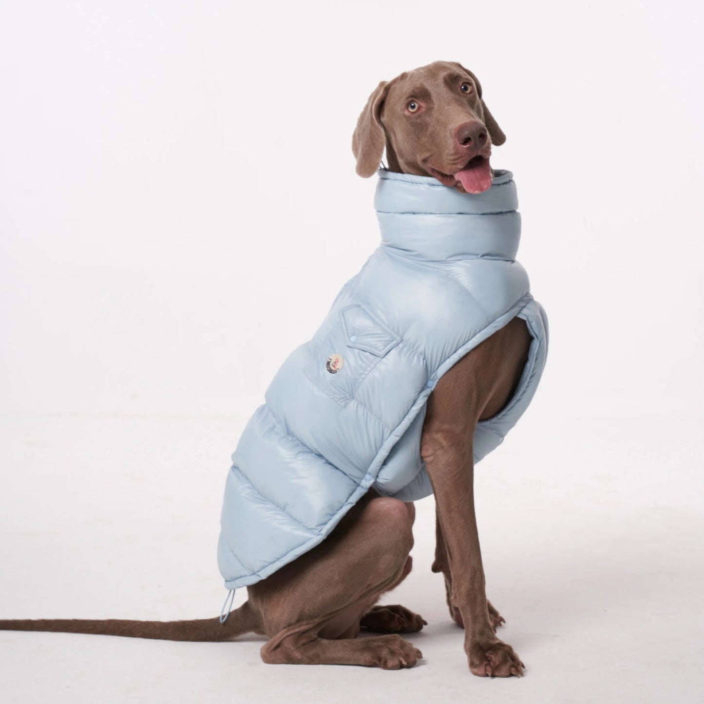 Wrap your dog in refined luxury with this plush, cream - colored vest. Crafted from high - quality, soft - touch fabrics, it offers exceptional warmth, comfort, and an elevated style for sophisticated outings. The elegant design and exquisite details. - Luxempirez