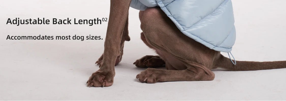 Wrap your dog in refined luxury with this plush, cream - colored vest. Crafted from high - quality, soft - touch fabrics, it offers exceptional warmth, comfort, and an elevated style for sophisticated outings. The elegant design and exquisite details. - Luxempirez