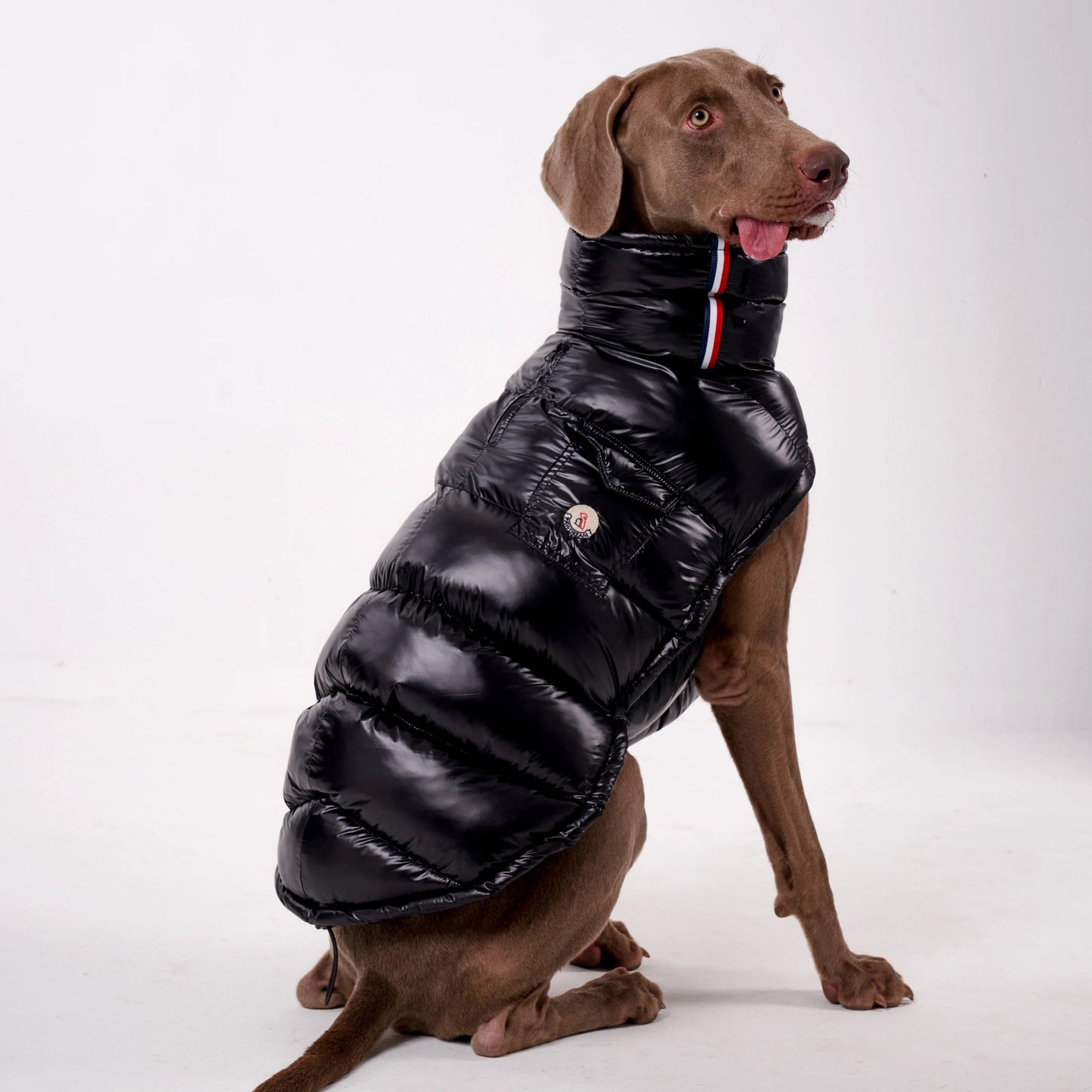 Wrap your dog in refined luxury with this plush, cream - colored vest. Crafted from high - quality, soft - touch fabrics, it offers exceptional warmth, comfort, and an elevated style for sophisticated outings. The elegant design and exquisite details. - Luxempirez