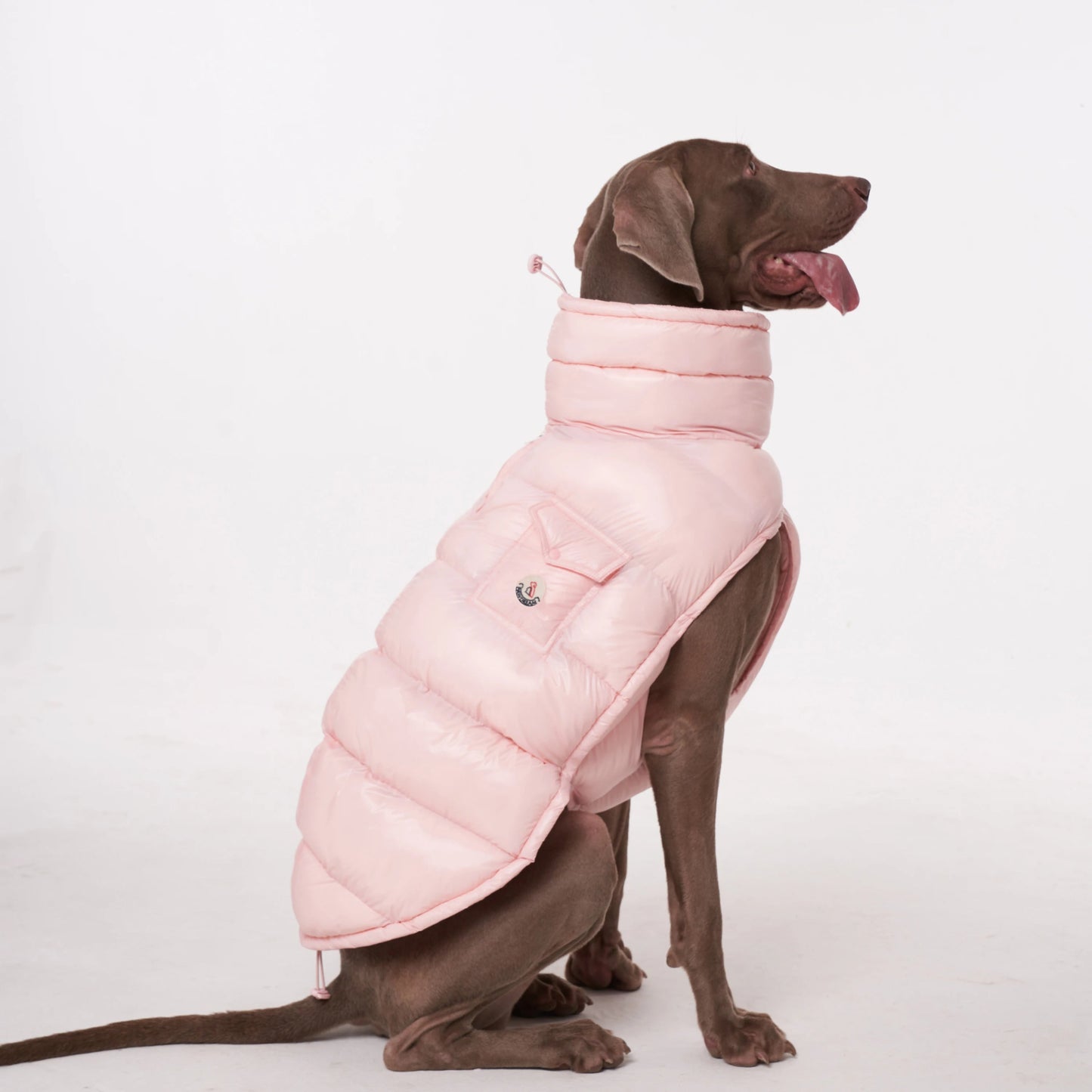 Wrap your dog in refined luxury with this plush, cream - colored vest. Crafted from high - quality, soft - touch fabrics, it offers exceptional warmth, comfort, and an elevated style for sophisticated outings. The elegant design and exquisite details. - Luxempirez