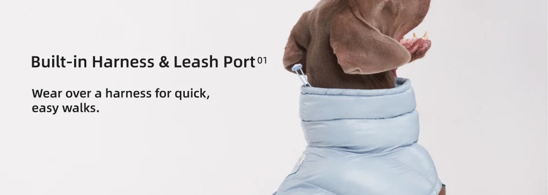 Wrap your dog in refined luxury with this plush, cream - colored vest. Crafted from high - quality, soft - touch fabrics, it offers exceptional warmth, comfort, and an elevated style for sophisticated outings. The elegant design and exquisite details. - Luxempirez