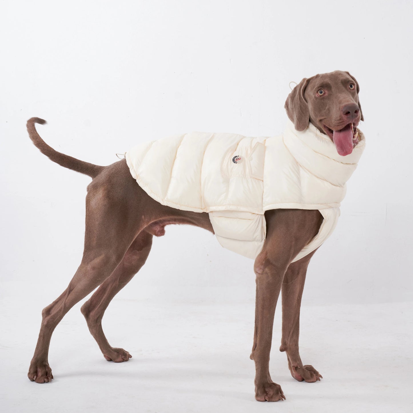 Wrap your dog in refined luxury with this plush, cream - colored vest. Crafted from high - quality, soft - touch fabrics, it offers exceptional warmth, comfort, and an elevated style for sophisticated outings. The elegant design and exquisite details. - Luxempirez