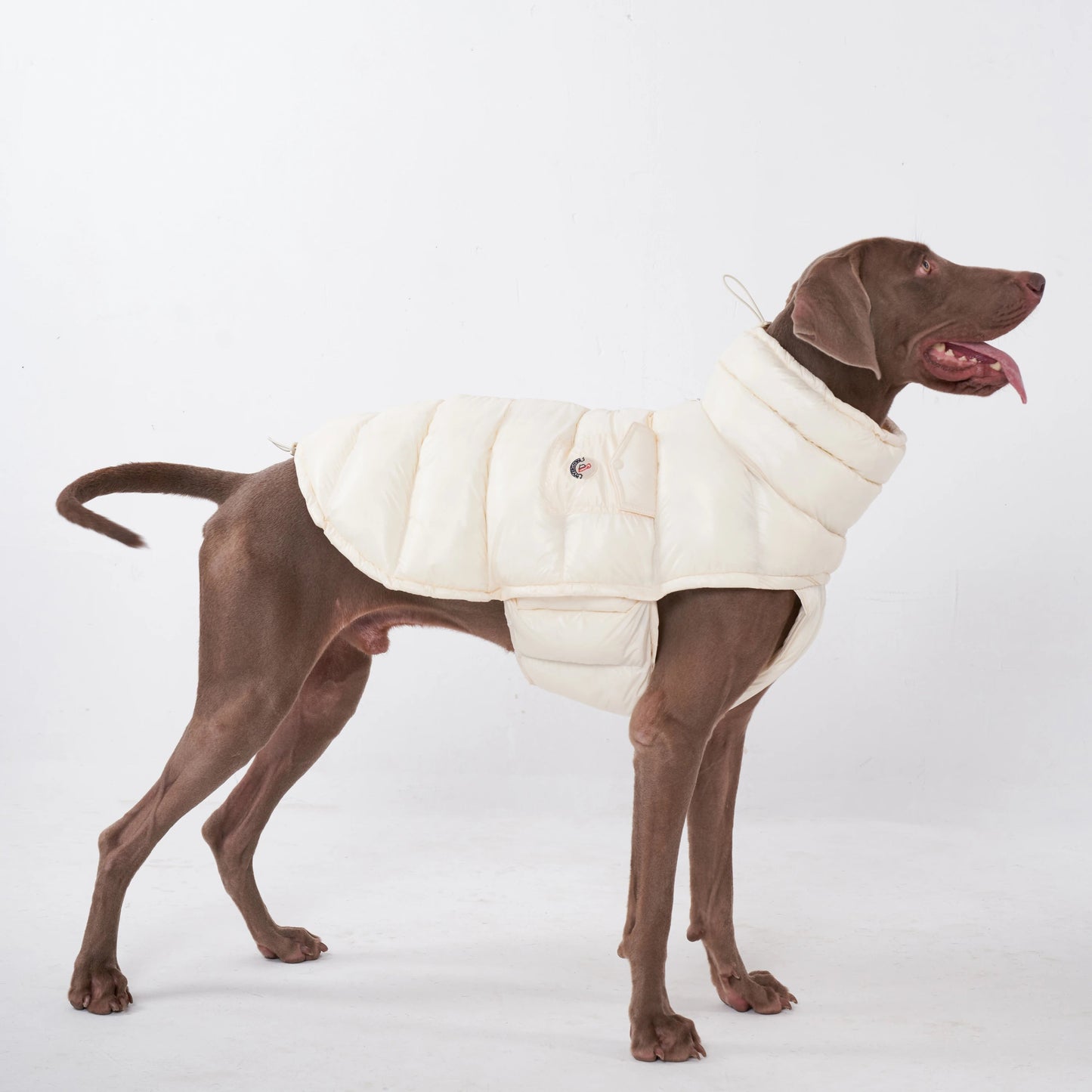 Wrap your dog in refined luxury with this plush, cream - colored vest. Crafted from high - quality, soft - touch fabrics, it offers exceptional warmth, comfort, and an elevated style for sophisticated outings. The elegant design and exquisite details. - Luxempirez