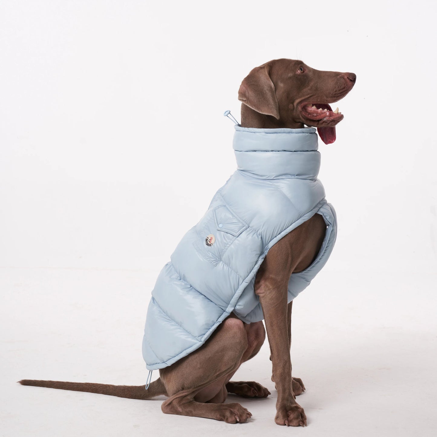 Wrap your dog in refined luxury with this plush, cream - colored vest. Crafted from high - quality, soft - touch fabrics, it offers exceptional warmth, comfort, and an elevated style for sophisticated outings. The elegant design and exquisite details. - Luxempirez