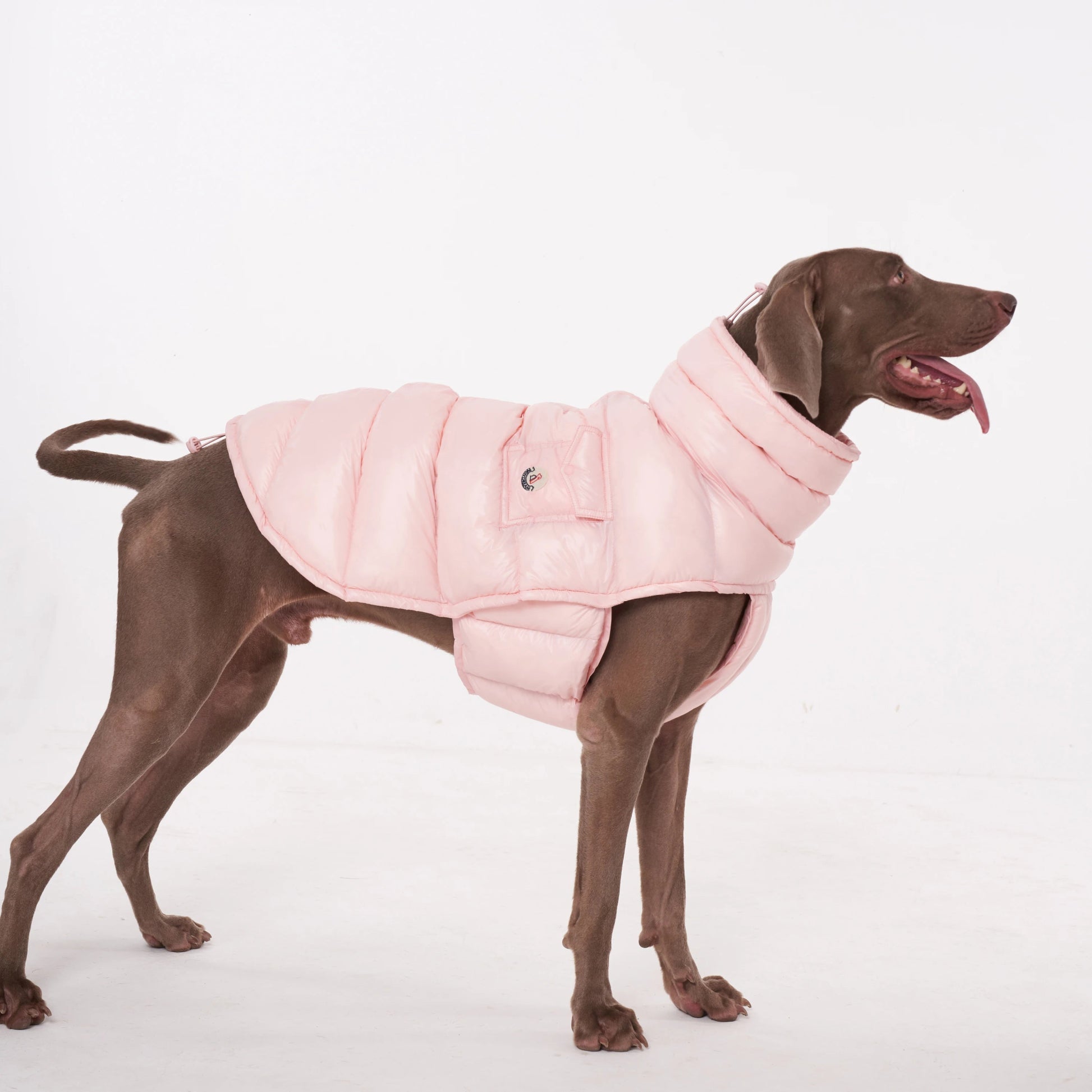 Wrap your dog in refined luxury with this plush, cream - colored vest. Crafted from high - quality, soft - touch fabrics, it offers exceptional warmth, comfort, and an elevated style for sophisticated outings. The elegant design and exquisite details. - Luxempirez