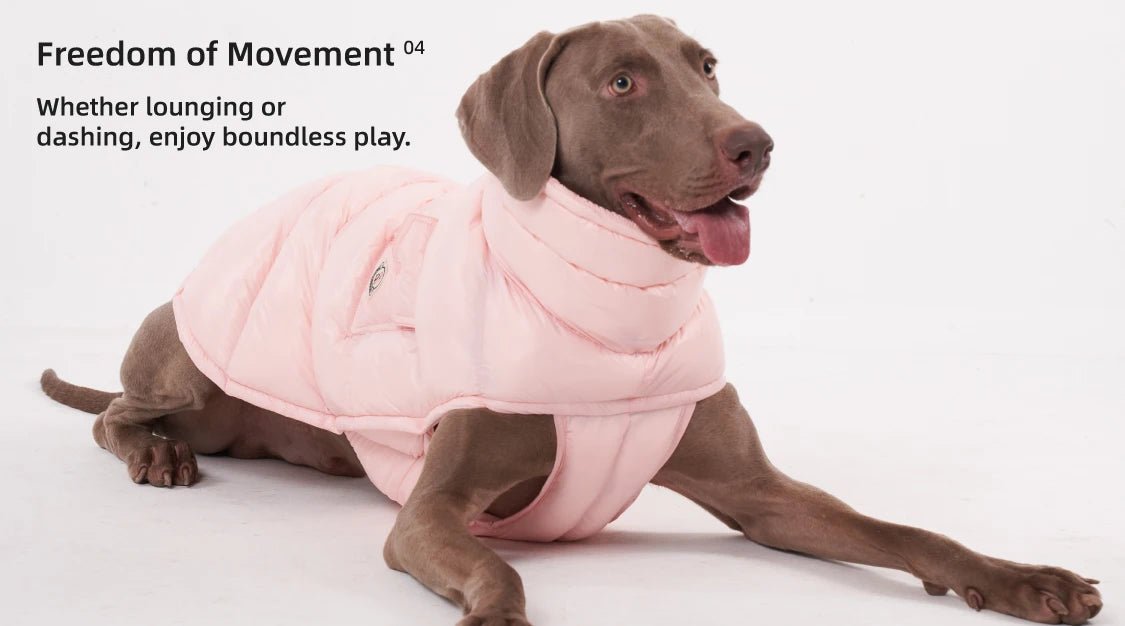 Wrap your dog in refined luxury with this plush, cream - colored vest. Crafted from high - quality, soft - touch fabrics, it offers exceptional warmth, comfort, and an elevated style for sophisticated outings. The elegant design and exquisite details. - Luxempirez